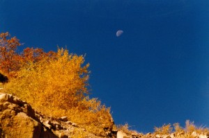 Price Canyon, Carbon County, Utah, USA 26.09.1994           